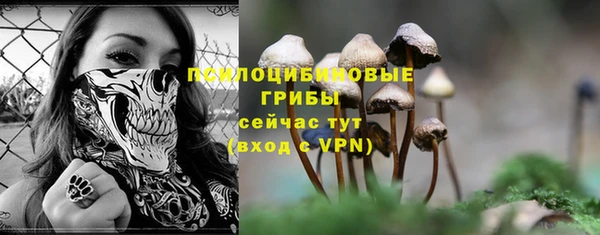 соль курить ск Пересвет