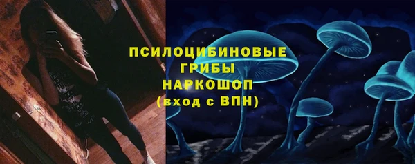 2c-b Пестово