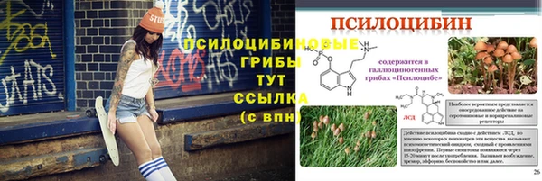 твердый Болхов