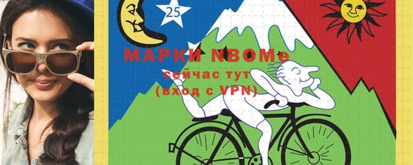 2c-b Пестово