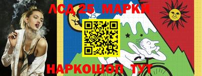 индика Аргун