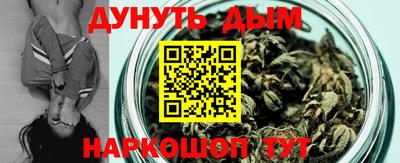 индика Аргун