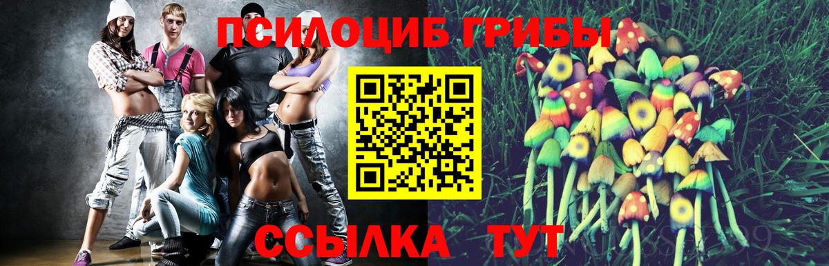 Галлюциногенные грибы Cubensis Барнаул