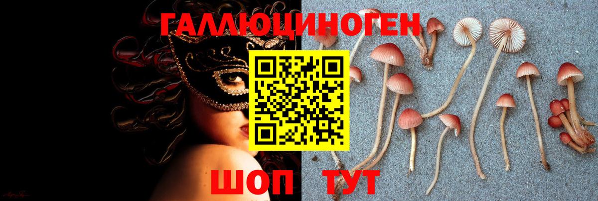 Галлюциногенные грибы мухоморы  Вход с VPN  купить наркотики сайты  Галлюциногенные грибы Psilocybine cubensis  Барнаул 